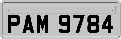 PAM9784