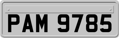 PAM9785