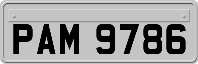PAM9786