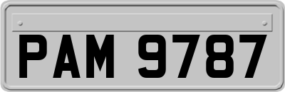PAM9787