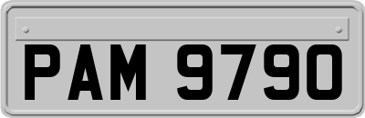 PAM9790
