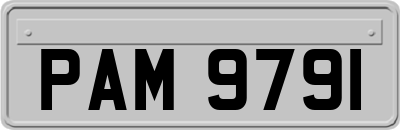 PAM9791