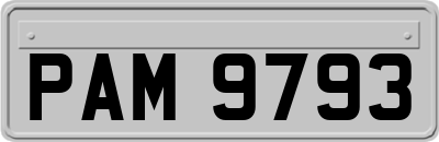 PAM9793