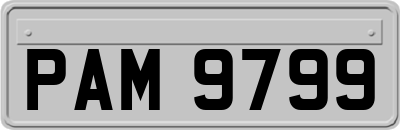 PAM9799
