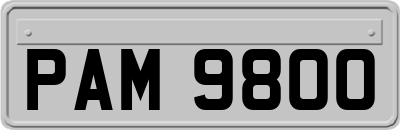 PAM9800