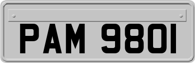 PAM9801