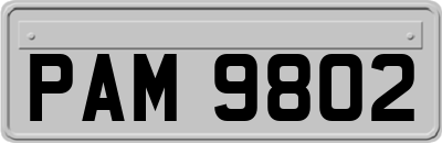 PAM9802