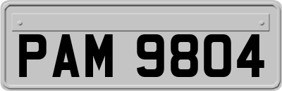 PAM9804
