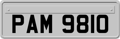 PAM9810