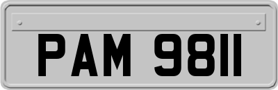 PAM9811