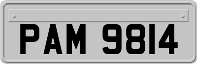 PAM9814