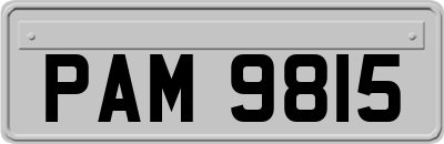 PAM9815