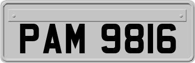 PAM9816