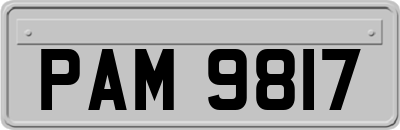 PAM9817