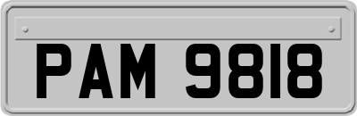 PAM9818