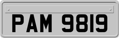 PAM9819