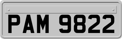 PAM9822