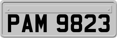 PAM9823