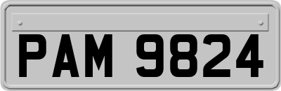 PAM9824