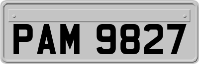 PAM9827