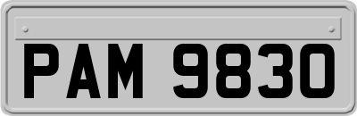PAM9830
