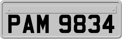 PAM9834