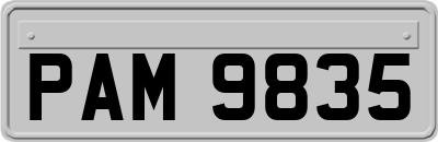 PAM9835