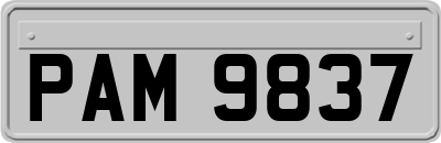 PAM9837