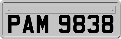 PAM9838
