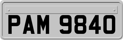 PAM9840