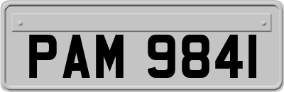 PAM9841