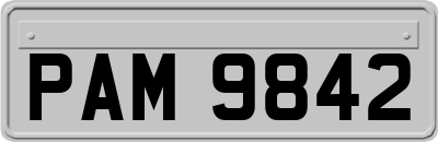 PAM9842
