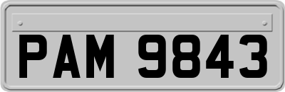 PAM9843