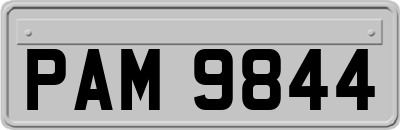 PAM9844