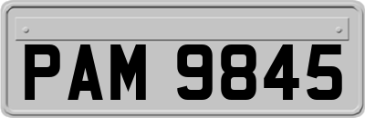 PAM9845