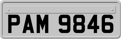 PAM9846