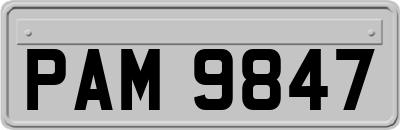 PAM9847