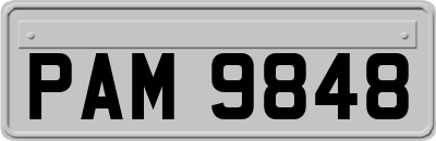 PAM9848