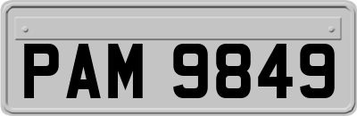 PAM9849