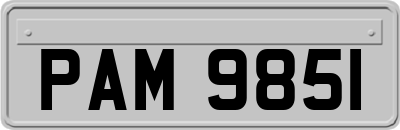 PAM9851