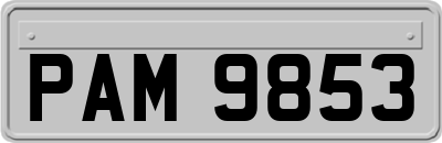 PAM9853