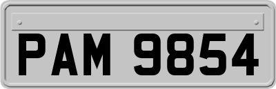 PAM9854