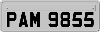 PAM9855