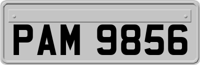 PAM9856