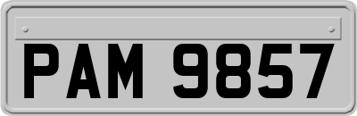 PAM9857