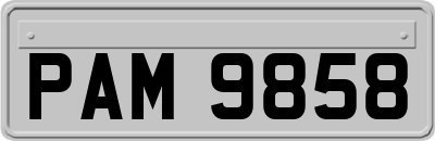 PAM9858