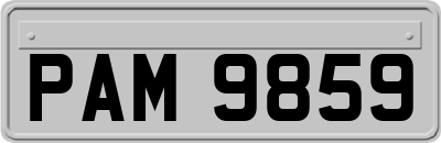 PAM9859