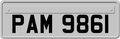 PAM9861