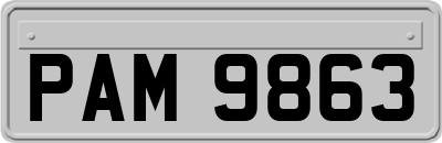 PAM9863