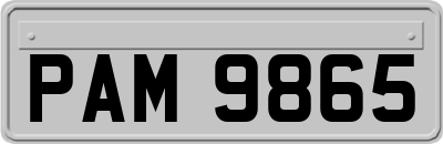 PAM9865